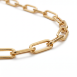 Classic Clip Chain Necklace