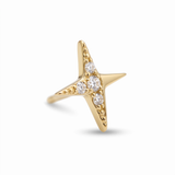 Shimmering Star Earrings